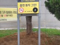 담배 냄새는 괴로워요 - 첫 설치 서초구 장미 아파트 앞