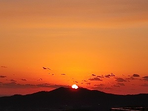 66b8fd65977588de4610e037c0f7d851.jpg
